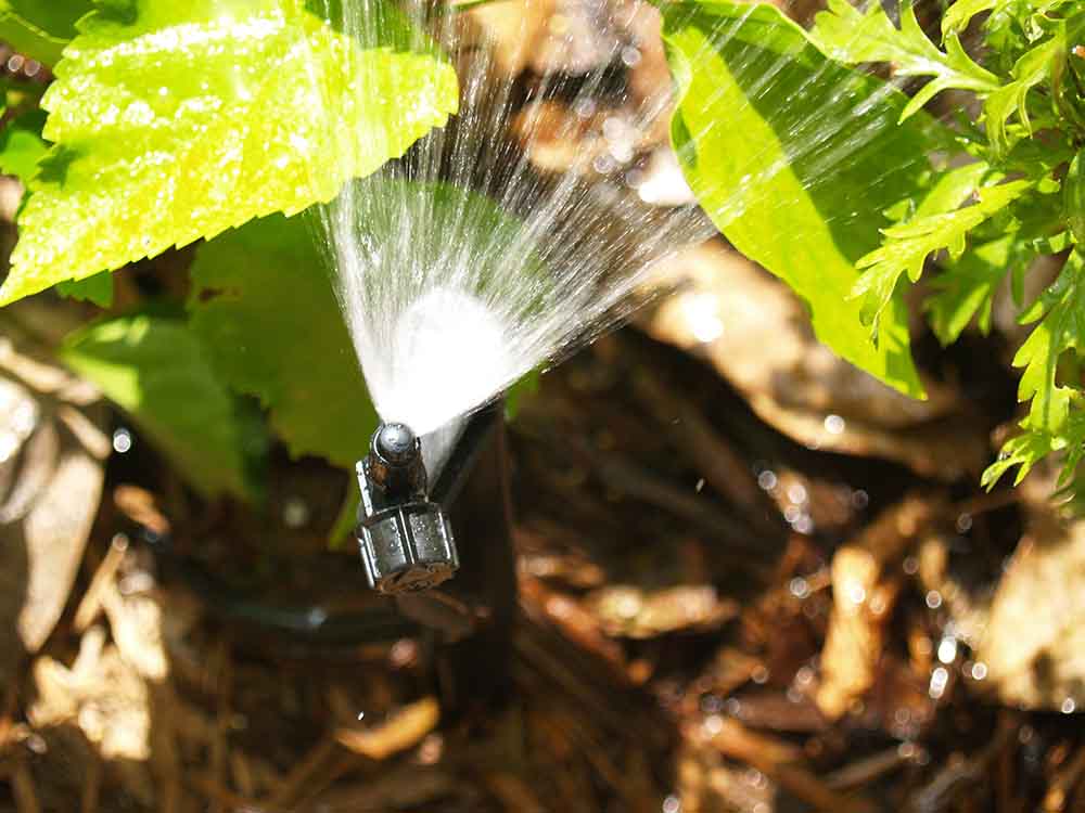 irrigation companies Winter Park FL