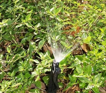 sprinkler repair company Apopka FL