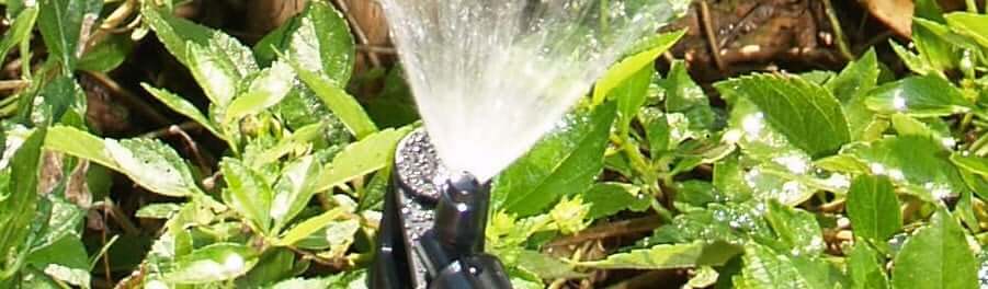 lawn sprinkler in central florida