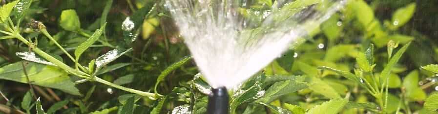 spray irrigation head central florida